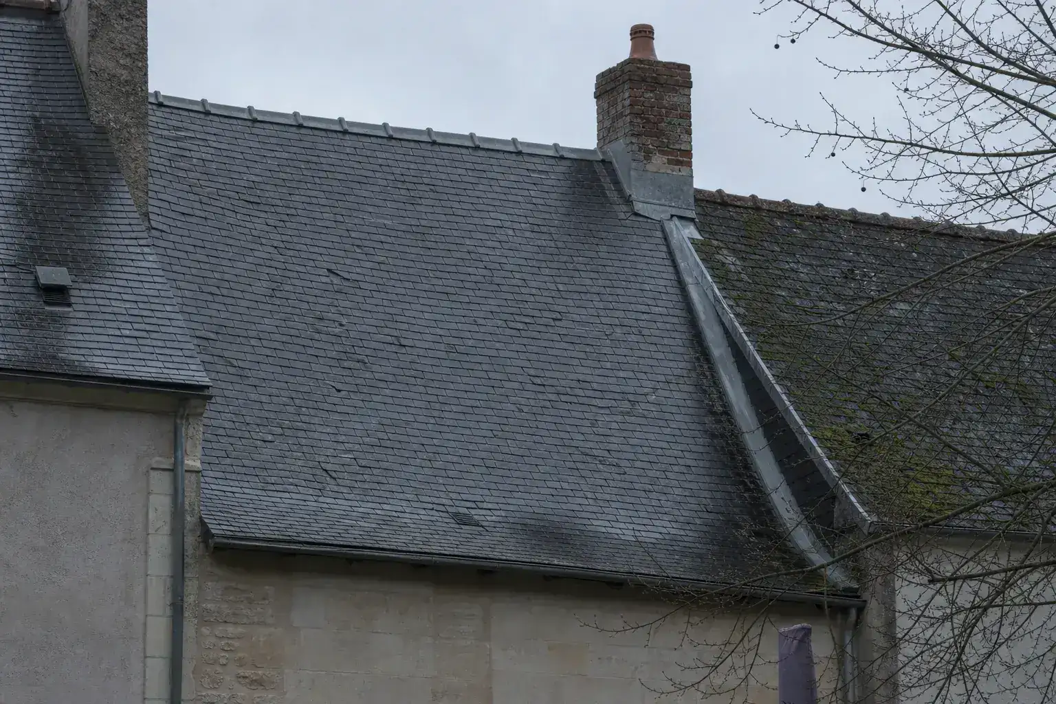 Versant arrière d’une maison nantaise en petites ardoises bleu-gris posées au crochet, faîtage et noue en zinc, mousse sombre au bas du versant nord